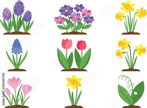 Foto Spring flower vector collection featuring tulips, daffodils, hyacinths, crocuses, lily of the valley, and blooming garden flora elements isolated on white background