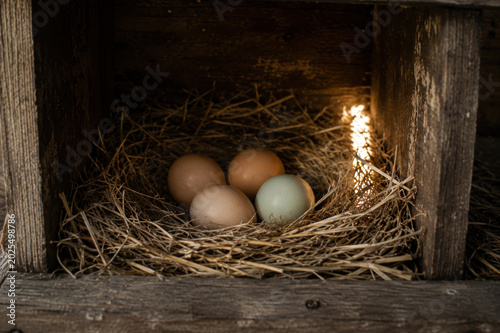 Eggs in Rustic Wooden Nest With Warm Light
