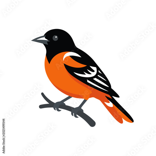 Baltimore Oriole Perched on Branch Flat Vector Illustration