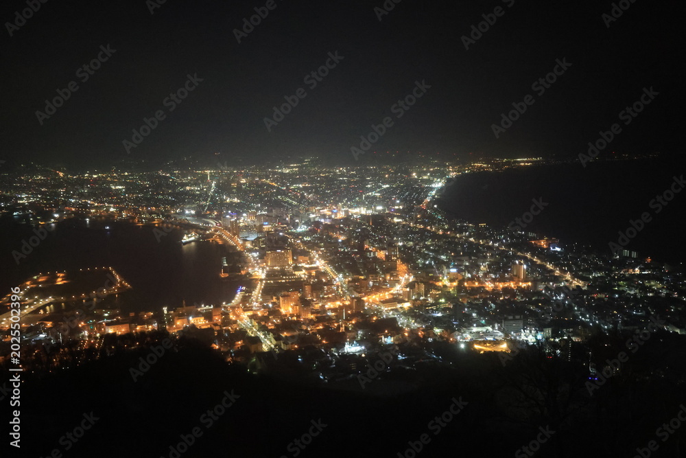 Fototapeta premium 冬の函館山から見た夜景