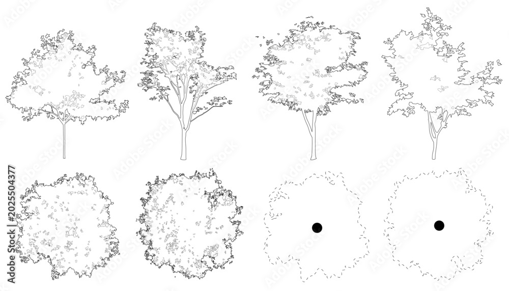Fototapeta premium Vector set of red maple trees in elevation and plan view for use in architectural drawings 