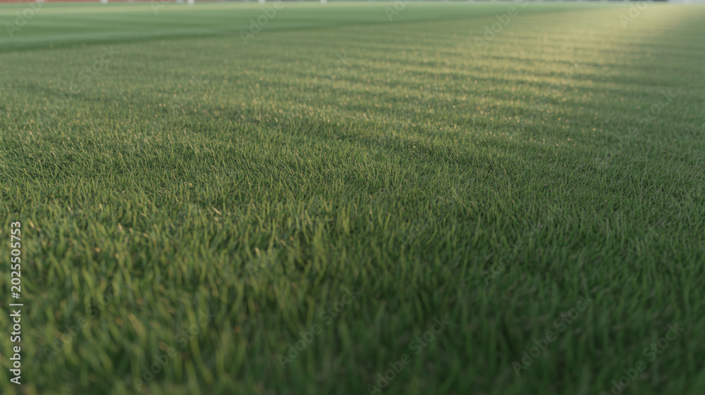 Fototapeta premium Aerial view of a vast green field under the sunlight with a soft focus