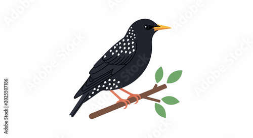 A stylized black bird with white spots perches on a branch