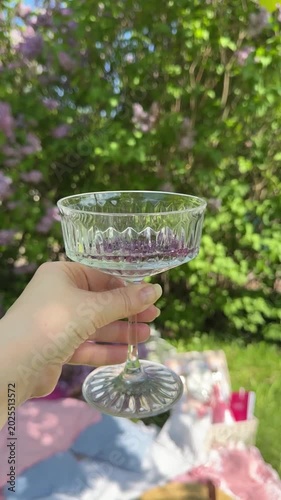 Woman Hand Holding Elegant Champagne Coupe Video