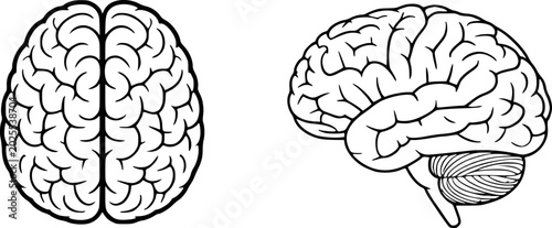 Bild auf Leinwand Views of human brain anatomy, and side, black outline white mind head