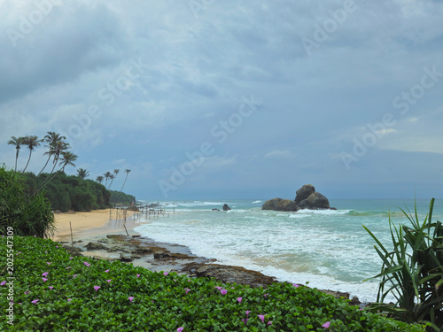 Fotografía Sri Lanka, Indian Ocean coast, evening, sun behind clouds, wind swaying palm trees, restless waves