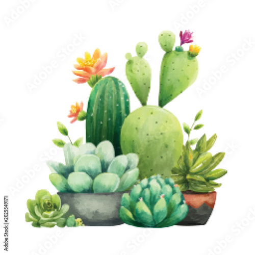 Foto Variety of cacti and succulents plants.
