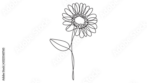 Single line art drawing depicting a sunflower with leaves isolated on transparent canvas.
