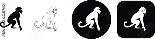 Photography Four stylized monkey in black and white showing different representations and fo
