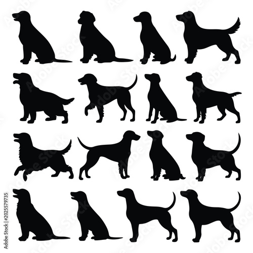Collection of various dog silhouettes in different sitting and standing poses created as a scalable vector illustration for your creative design projects and digital art needs