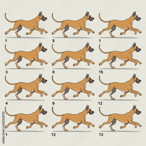 Great dane dog running animation cycle sequence showing a digital vector illustration of a canine movement pattern for professional character design and traditional frame by frame