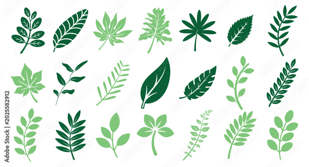 Fototapeta premium Collection of various green leaf icons in different shapes and sizes. Simple flat plant elements on transparent background.