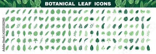 Photography Collection of various green botanical leaf icons in different styles