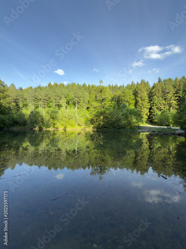 Lush Swiss Forest Perfectly Reflected on the Calm Still Surface of a Serene Woodland Lake