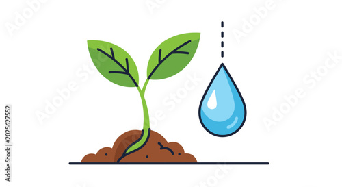 Simple illustration of a green seedling sprouting from soil being watered by a single blue raindrop for ecology concepts.