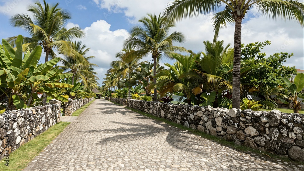 Fototapeta premium A cobblestone pathway flanked by stone walls and lush palm trees under a bright sky.