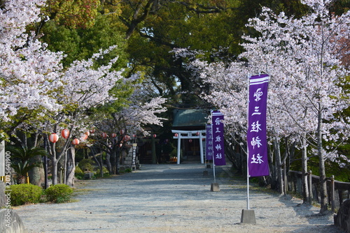 Obraz na płótnie 福岡県 柳川市の三柱神社