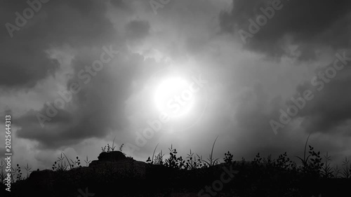 Cinematic Halloween Bats Flying Over Dark Landscape Moonlight Scene

