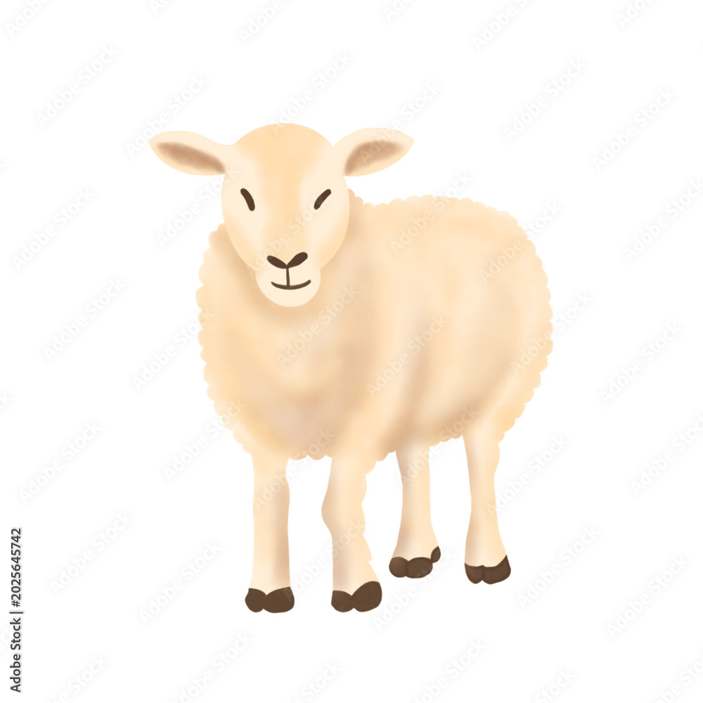 Fototapeta premium Hand Drawn Cute Fluffy Sheep Illustration for Kids Design