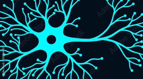 Cuadro en lienzo Neuron cell structure with dendrites and axon.