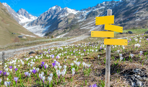 yellow sign post in beautiful alpine mountain landscape at spring with white ...