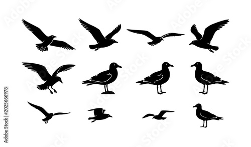 Black silhouette seagull vector set with flying and standing coastal bird poses