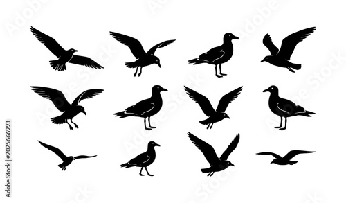 Canvastavla Flying and standing seagull silhouette vector collection in black and white styl