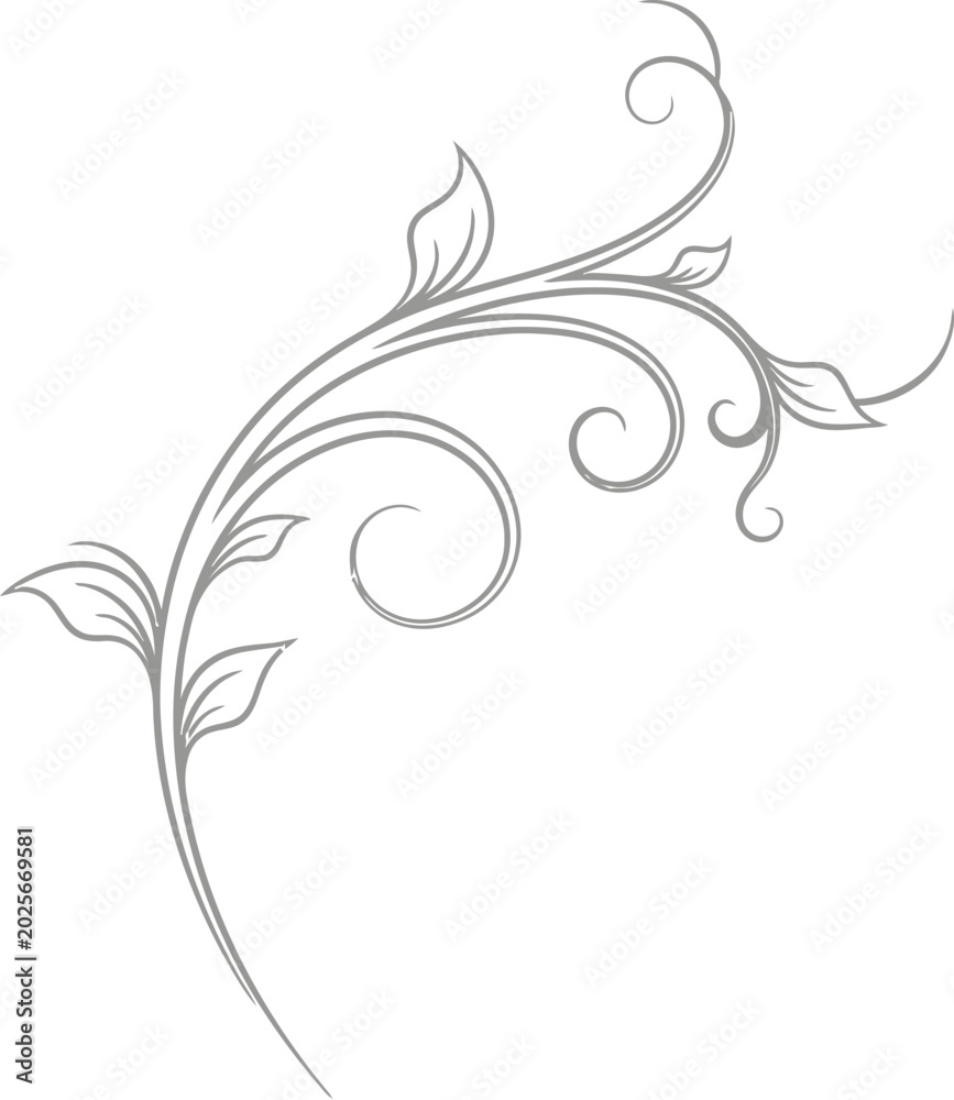 Fototapeta premium Adobe Illustrator Artwork
