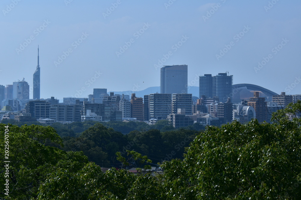 Fototapeta premium 福岡県 福岡市の舞鶴公園~福岡城跡