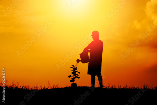 Silhouette watering young plant at sunset for growth and sustainability concept.