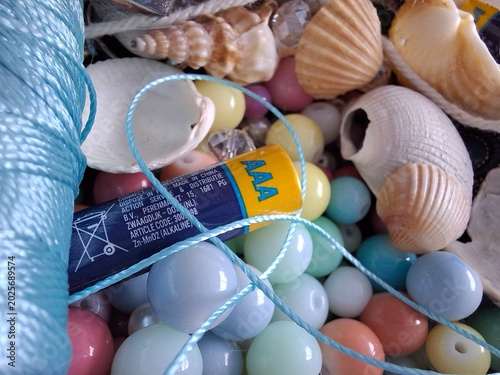Photos seashells on the beach