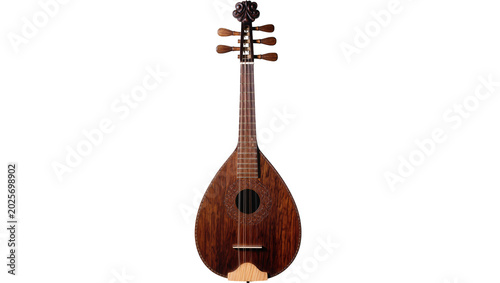 Obraz na plátně Ornate carved wooden lute with round body and fretted neck, isolated on transpar