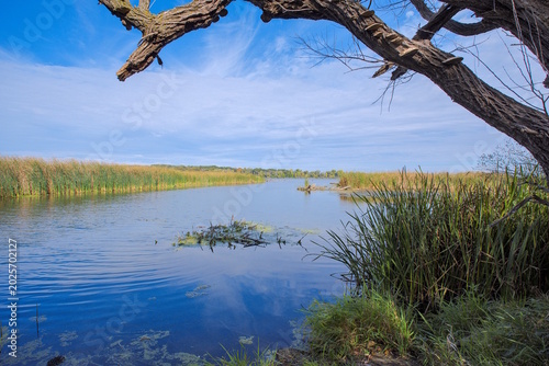 Marshland section of Lake Mendota from university of wisconsin madison