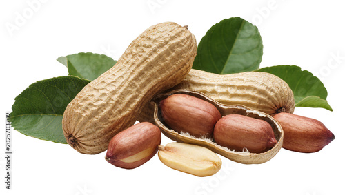 Photos Whole and shelled peanuts with green leaves, isolated on transparent background