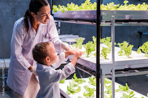 Obraz na plátně Researchers in lab coats guide a child as they tend leafy greens on illuminated
