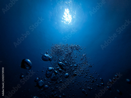 underwater scene with underwater bubbles