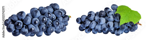 dark blue grape berry bunch isolated on white background