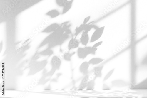 shadow overlay effect of natural tree leaves shadow over on white wall,abstract summer sunlight with shadow background,branch with leaves shadow,windows shadow,leaf shadow,plants shadow