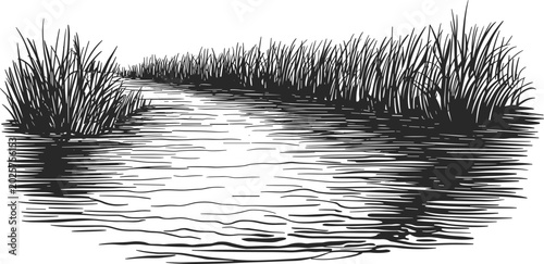 Obraz na płótnie Marsh wetland water landscape engraving illustration, natural swamp grass vector