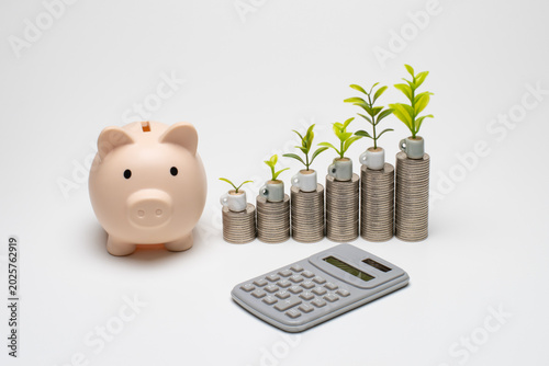 Cuadro en lienzo ぶたの貯金箱と電卓と積み上がるコインで増える貯金のイメージ