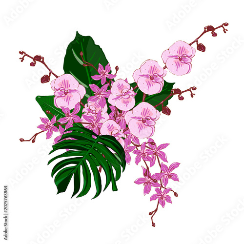 Elegant composition of pink and white orchids and tropical leaves. Hand drawn floral arrangement for wedding invitations, greeting cards, prints and textiles. Isolated on white background