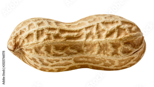 Photos Whole peanut in shell with textured brown skin, isolated on transparent backgrou