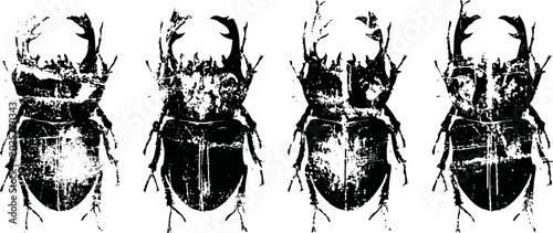 vintage black insect illustrations beetle collection with detailed anatomy and shading
