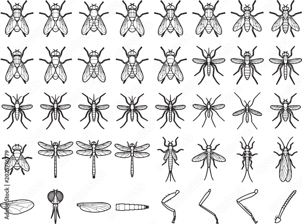 Fototapeta premium A collection of detailed illustrations showcases various flying insects, including flies, mosquitoes, and dragonflies, along with their anatomical parts, presented in a clean, scientific style.