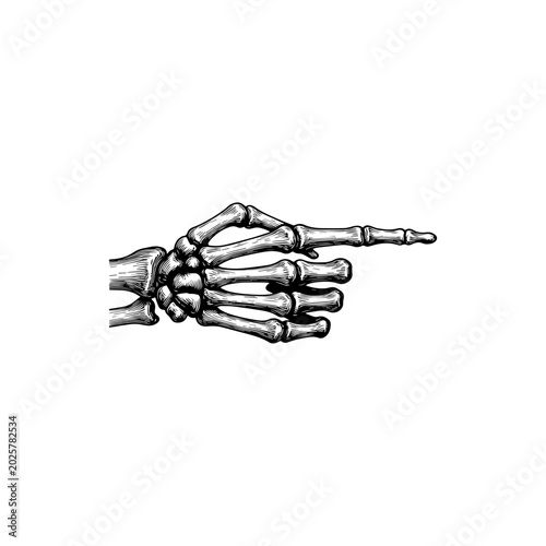Canvastavla Human Skeletal Hand Bones Detailed Anatomy Illustration