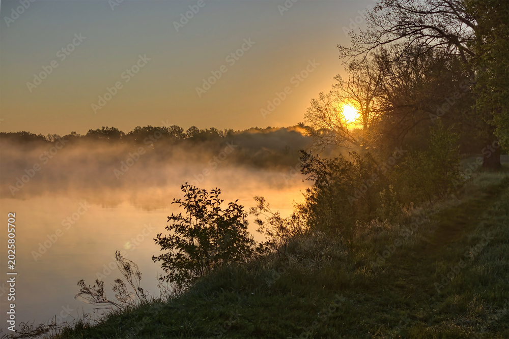 Fototapeta premium Sun rises above the river as mist rises from the water. Trees line the bank, and the sky shows warm colors in the early morning