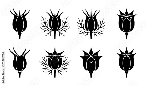 Vászonkép Nigella sativa and poppy seed pod silhouette vector set with abstract flower bud