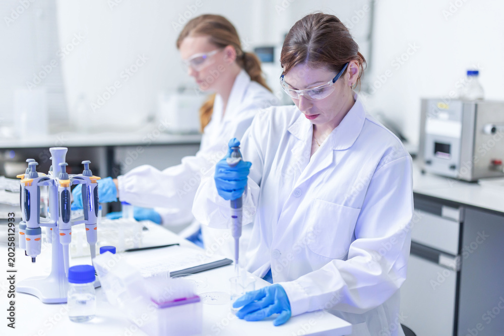 Fototapeta premium Scientist uses pipette to transfer liquid in laboratory during research on biological samples