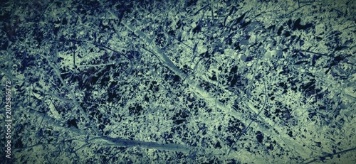 Fotografie A tangle of branches and leaves creates a complex, almost abstract network