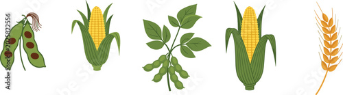 Canvastavla Agricultural crops vector illustration collection featuring organic fresh green
